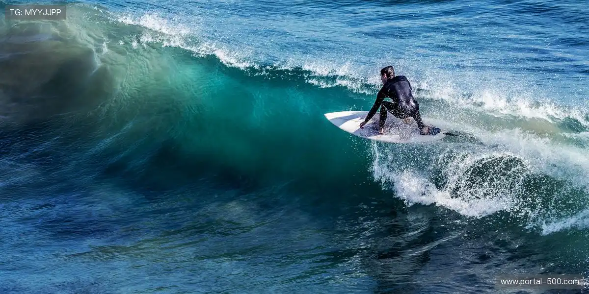 📢 每个点赞、评论都能推动赛场气氛升级